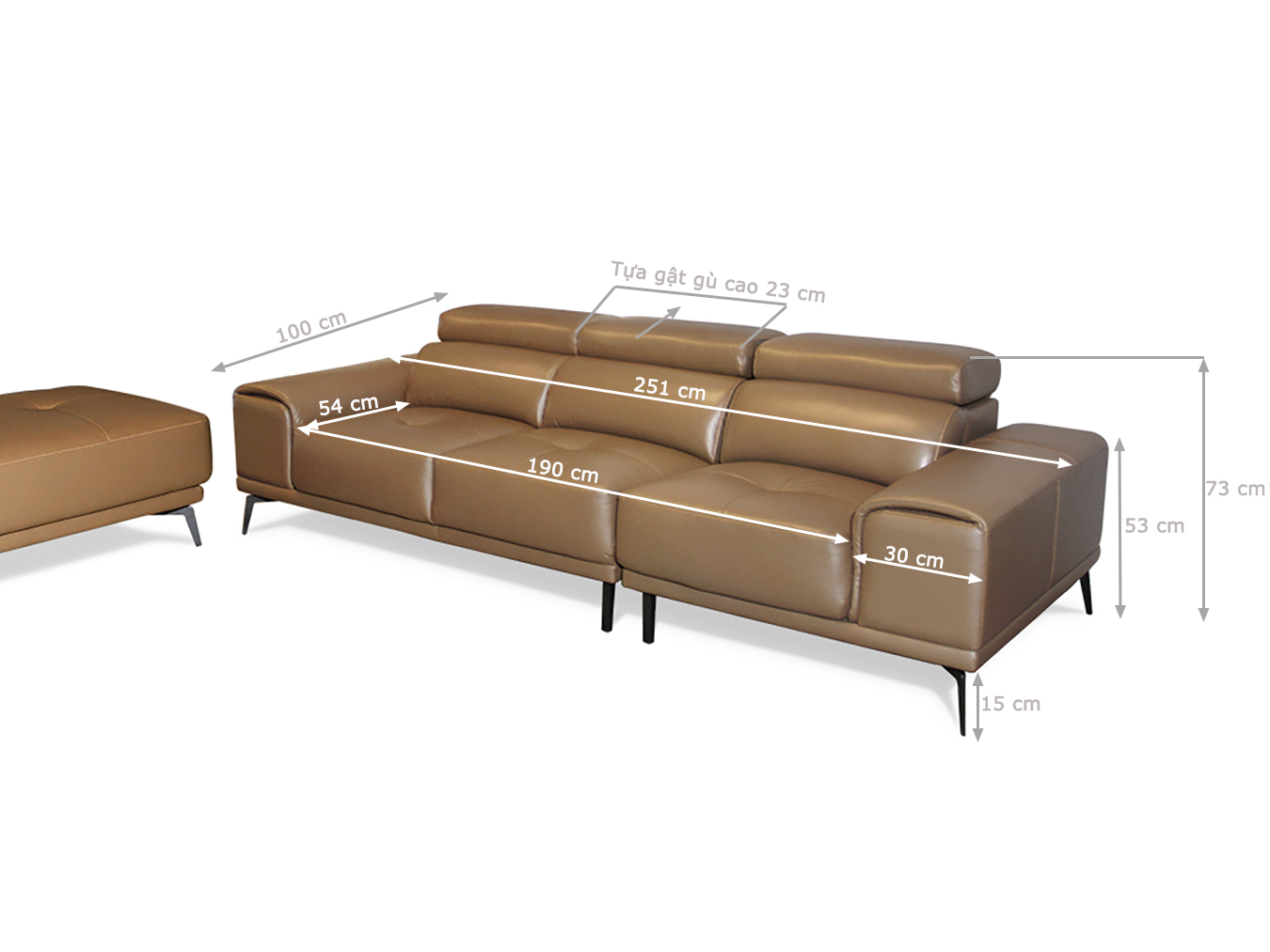 Bộ sofa da thật D50 Malaysia TPH2196L